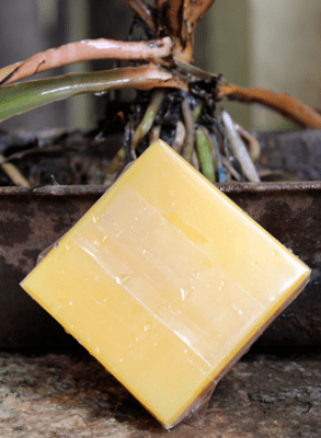 Coconut oil and Shea butter Sandal- Natural Soap