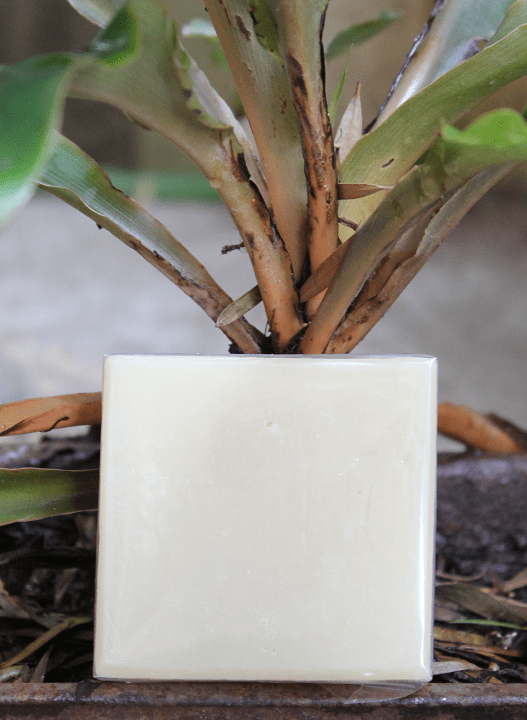 Coconut oil and Shea butter Plain-Natural Soap